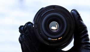Eine Kamera mit dem Spiegelbild eines Schwans auf der Linse