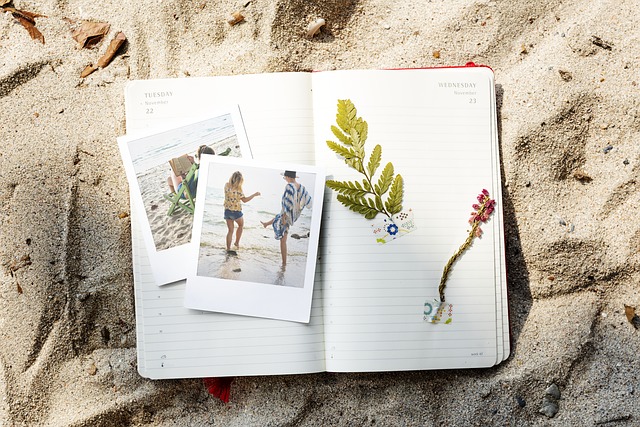 Aufgeschlagenes Notizbuch mit Pflanzen und Polaroidfotos