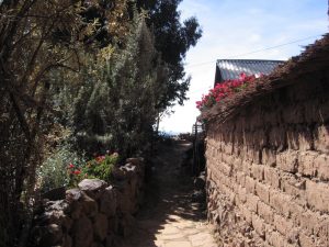 Blick auf Lehmmauer mit Busch und roten Blumen